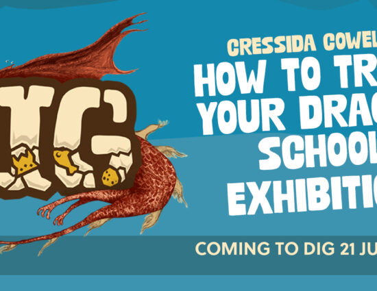 How to Train Your Dragon School Exhibition at DIG York