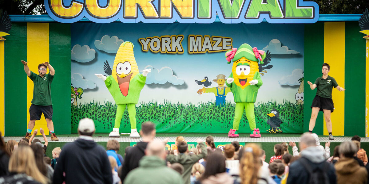 york maze what's on yorkshire